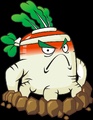 Resistant Radish