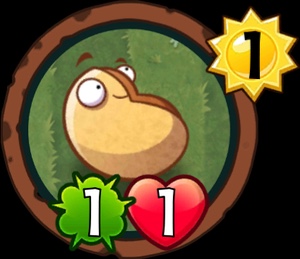 Small-Nut