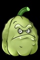 Squash-nut
