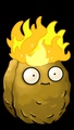 Torch-nut