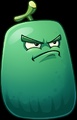 Wax Gourd Guard