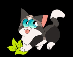 Beechpaw