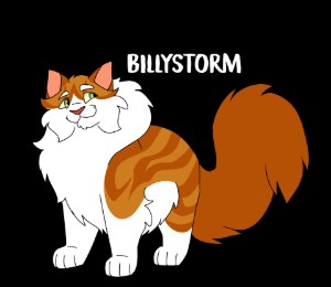 Billystorm