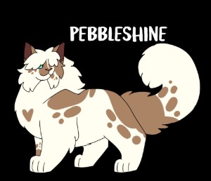 Pebbleshine