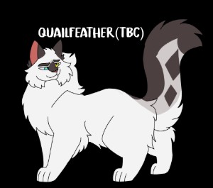 Quailfeather (TBC)