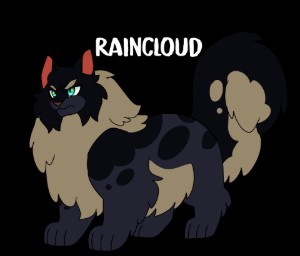 Raincloud
