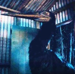 Big Bird Creature