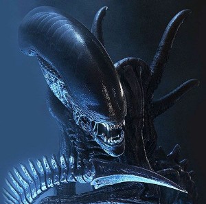 Xenomorph