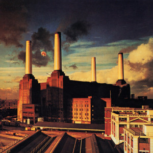 animals