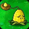 Kernel-pult