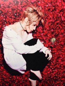 Acid Black Cherry