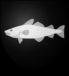 Codd