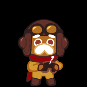 Pilot Cookie