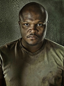 T-DOG