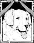 Nagito's dog