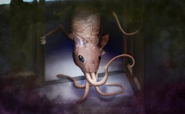 Rhinogradentia