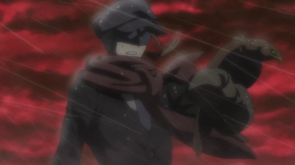 Ultimate Falconer