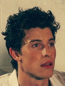 Shawn Mendes