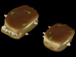 150px-Item_icon_Bread_Bite