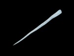 150px-Item_icon_Spy-Cicle