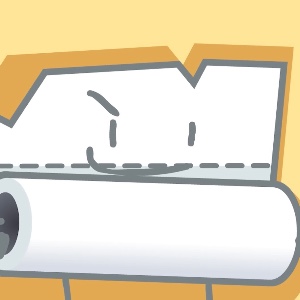 Paper Towel Roll