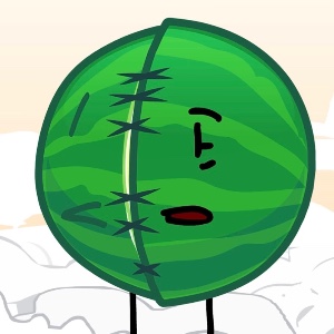 Rotting Watermelon