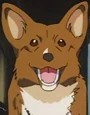 Ein