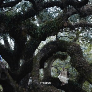 freedom (feat. kendrick lamar)