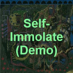 demo56-2-9