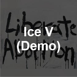 ice-v-demo
