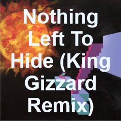 nothing-left-to-hide-kg-remix