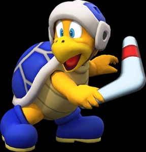 Boomerang Bro