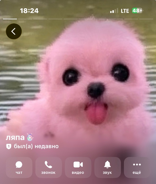 ляпа