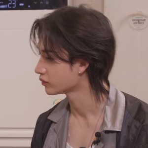 brown long mullet