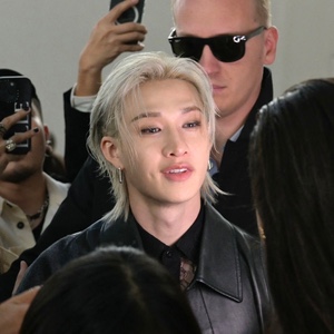 silver long mullet