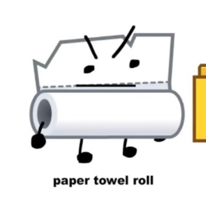 Paper Towel Roll (5sos 2)