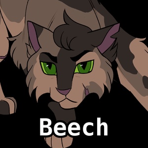 Beech