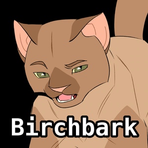 Birchbark