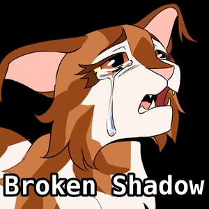 Broken Shadow
