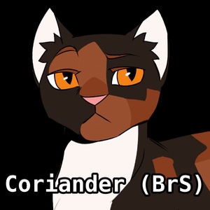 Coriander (BrS)