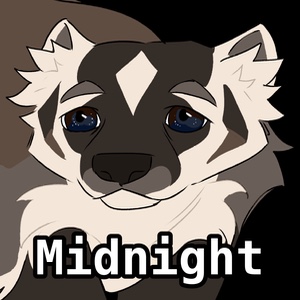Midnight