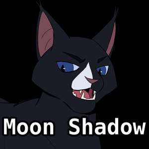 Moon Shadow