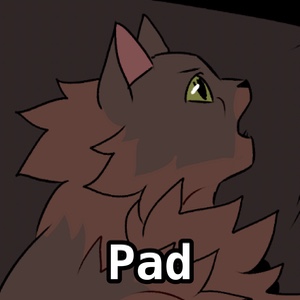 Pad