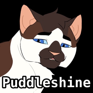 Puddleshine