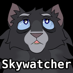 Skywatcher