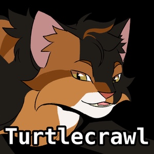 Turtlecrawl
