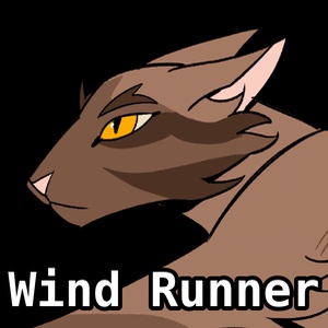 Wind Runner
