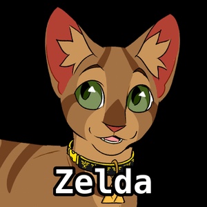 Zelda