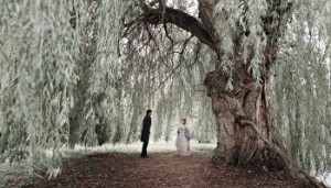 WILLOW SCENE