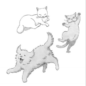 Satonosuke, Oshio & Omiso
